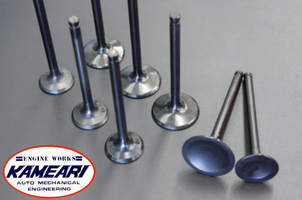 Kameari Engine Works Standard Size Valve Set for Nissan/Datsun U20(SR3 ...