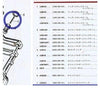 Engine Oil Check Valve Spring for Honda S series