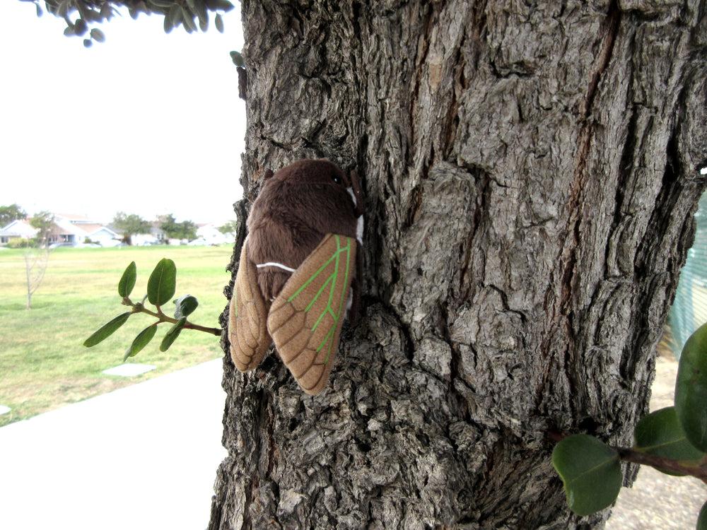 Brown Cicada Plush Magnetic