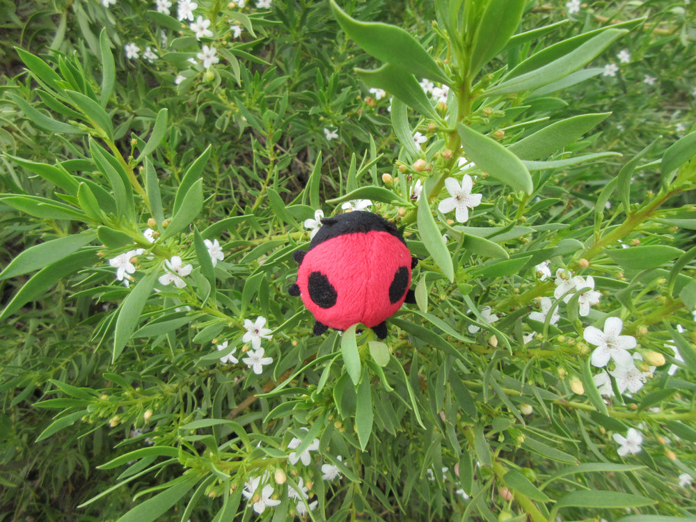 Ladybug Plush Magnetic